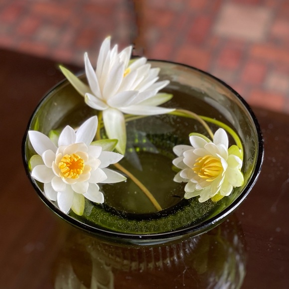 Meet your Posher, Ania - Picture 1 of 1